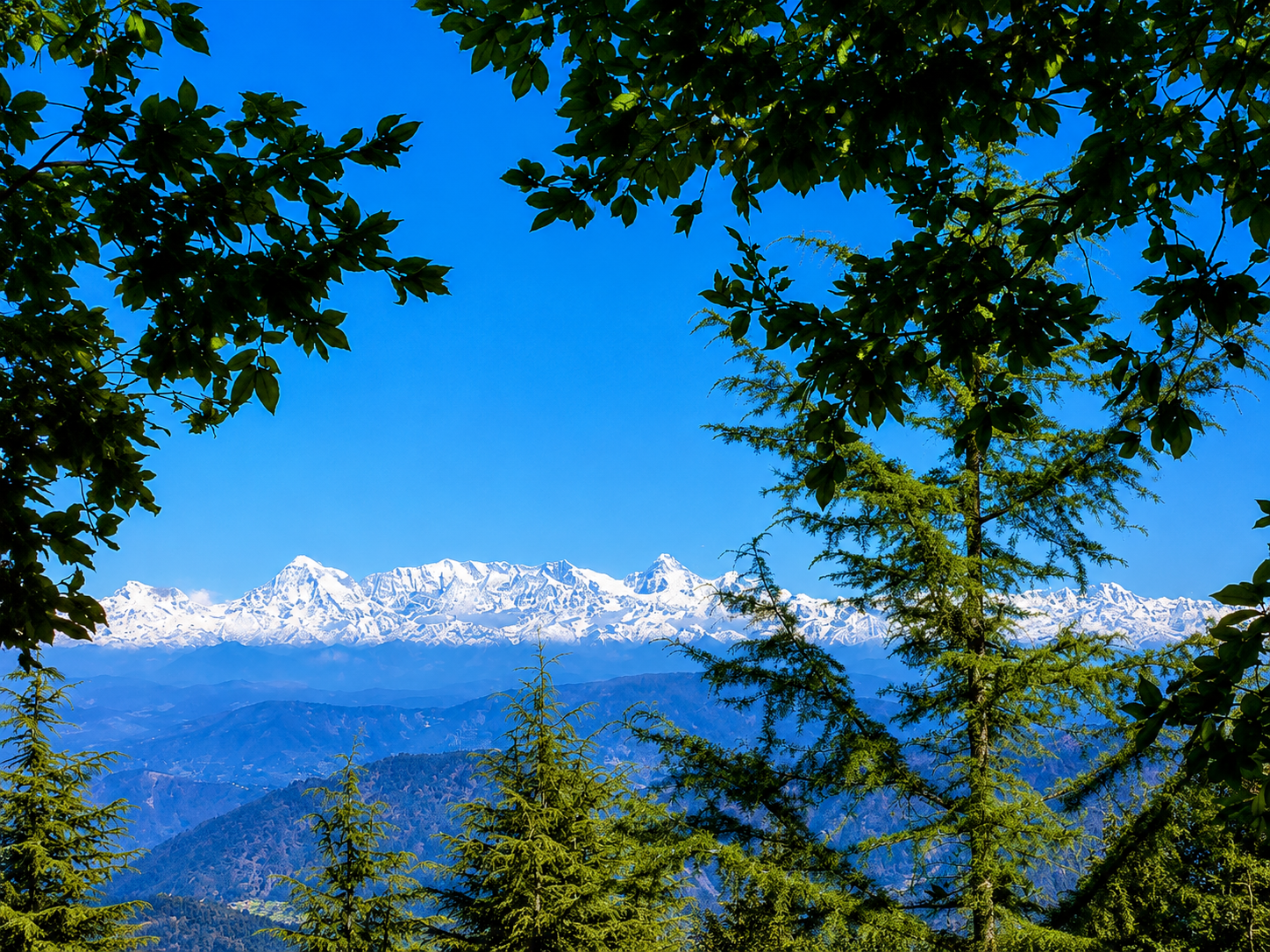 Uttarakhand Tour Packages — gallery photo 8