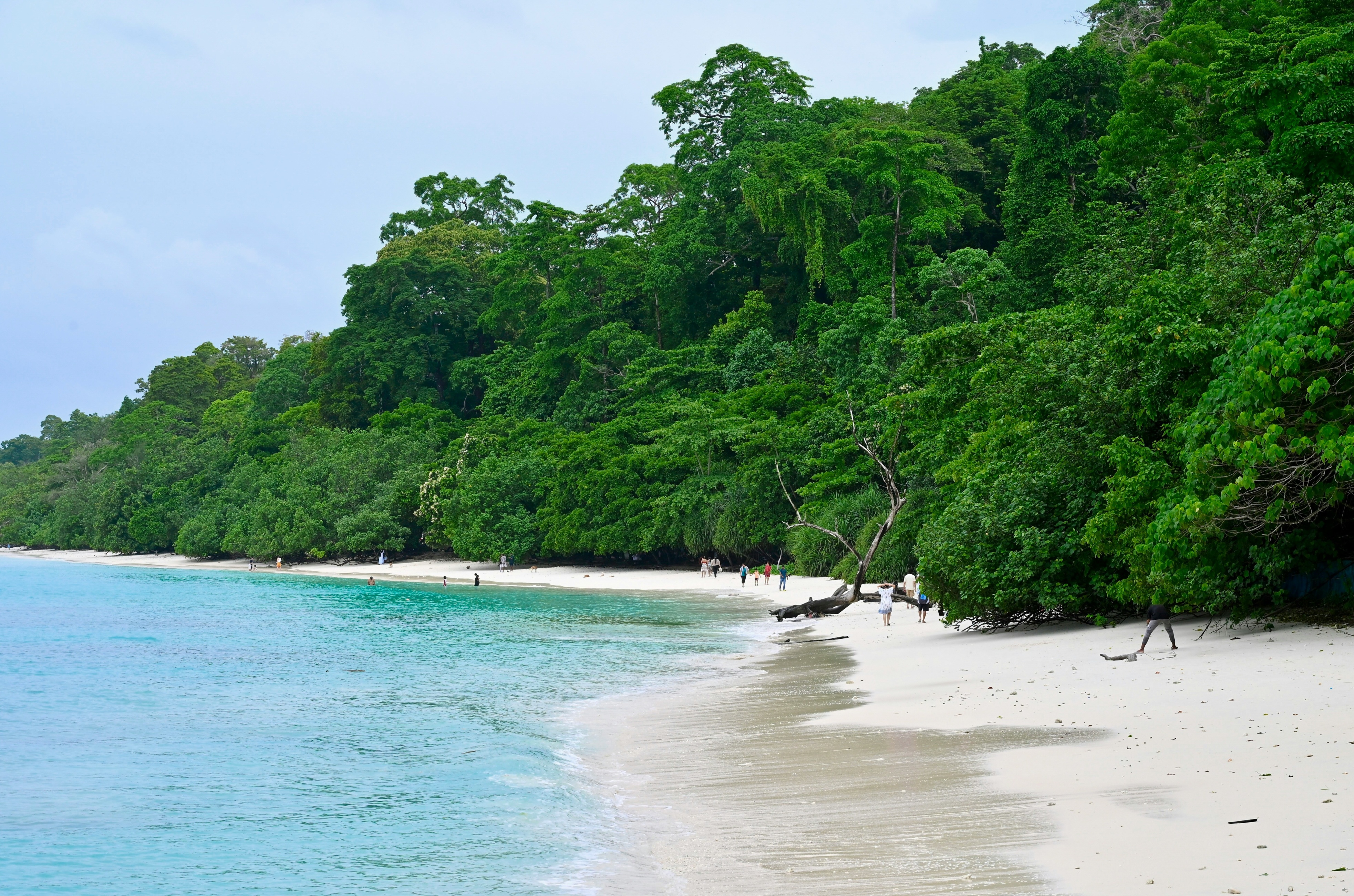 Andaman Tour Packages