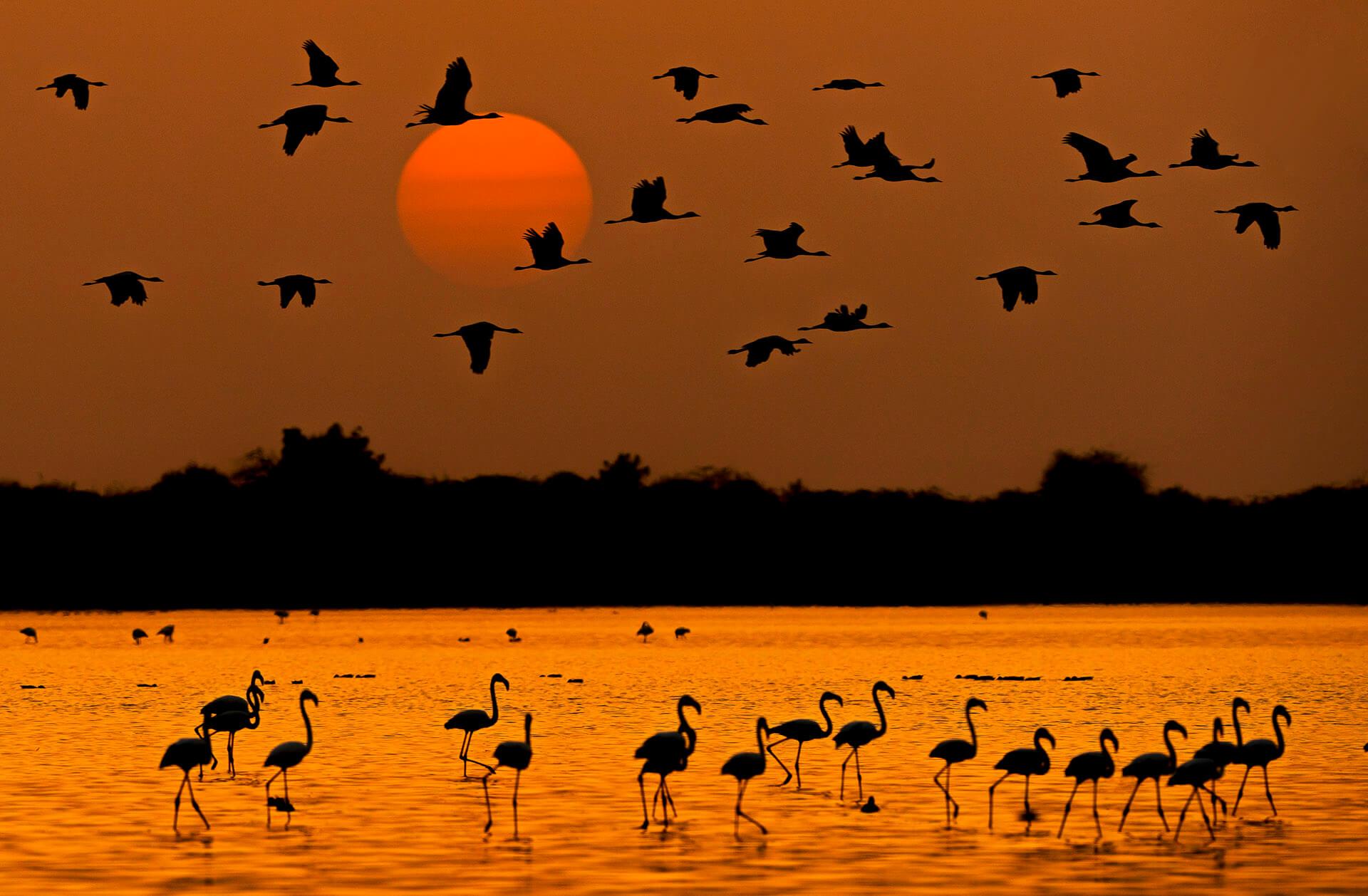 Gujarat Tour Packages — gallery photo 7