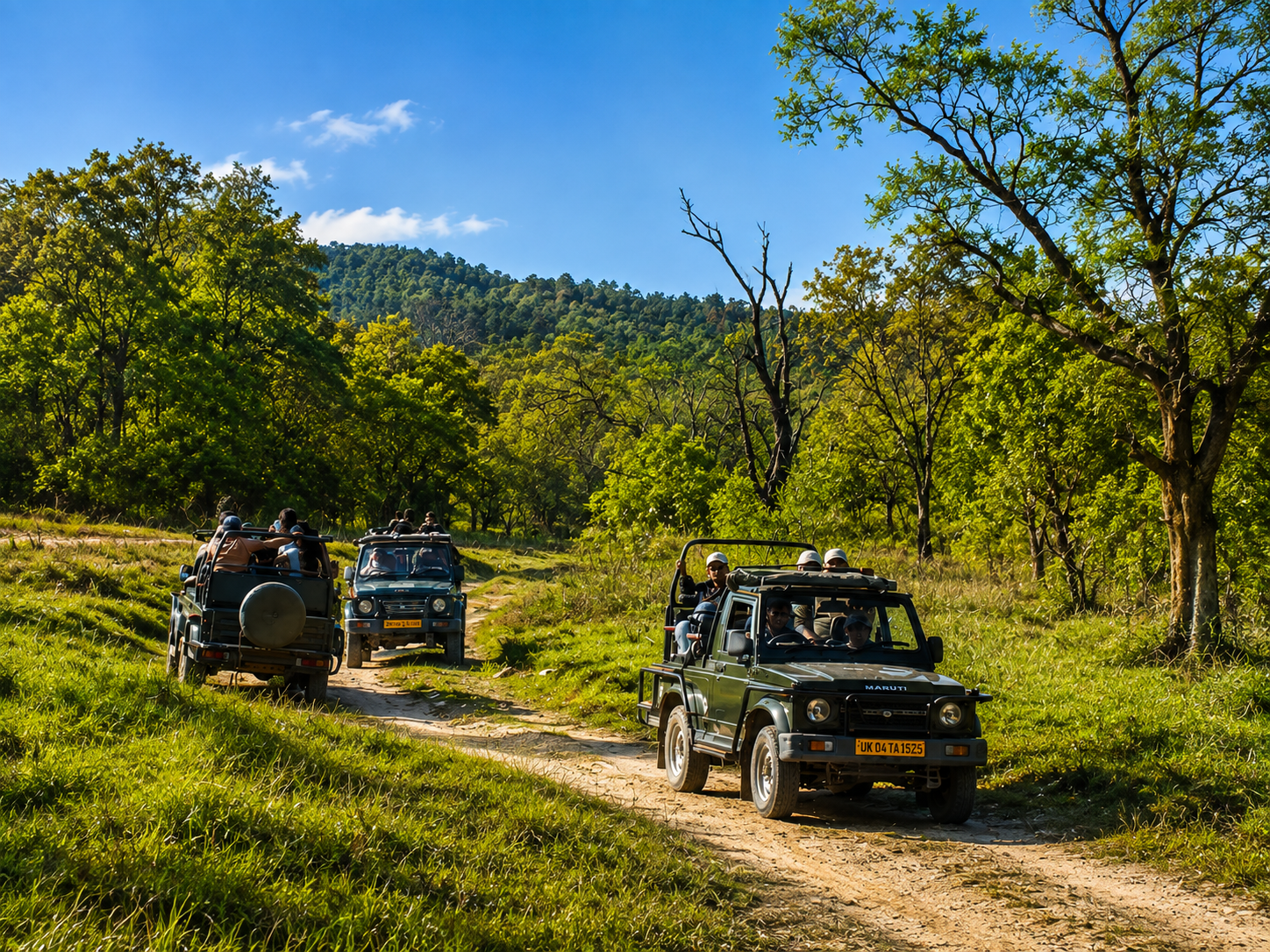 Uttarakhand Grand Explorer – Nainital, Almora, Kausani & Jim Corbett (6N/7D)
