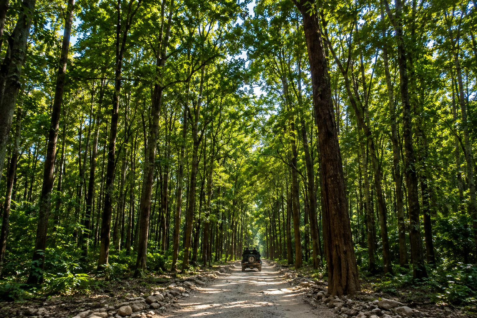 Into the Wild: Jim Corbett Safari Adventure