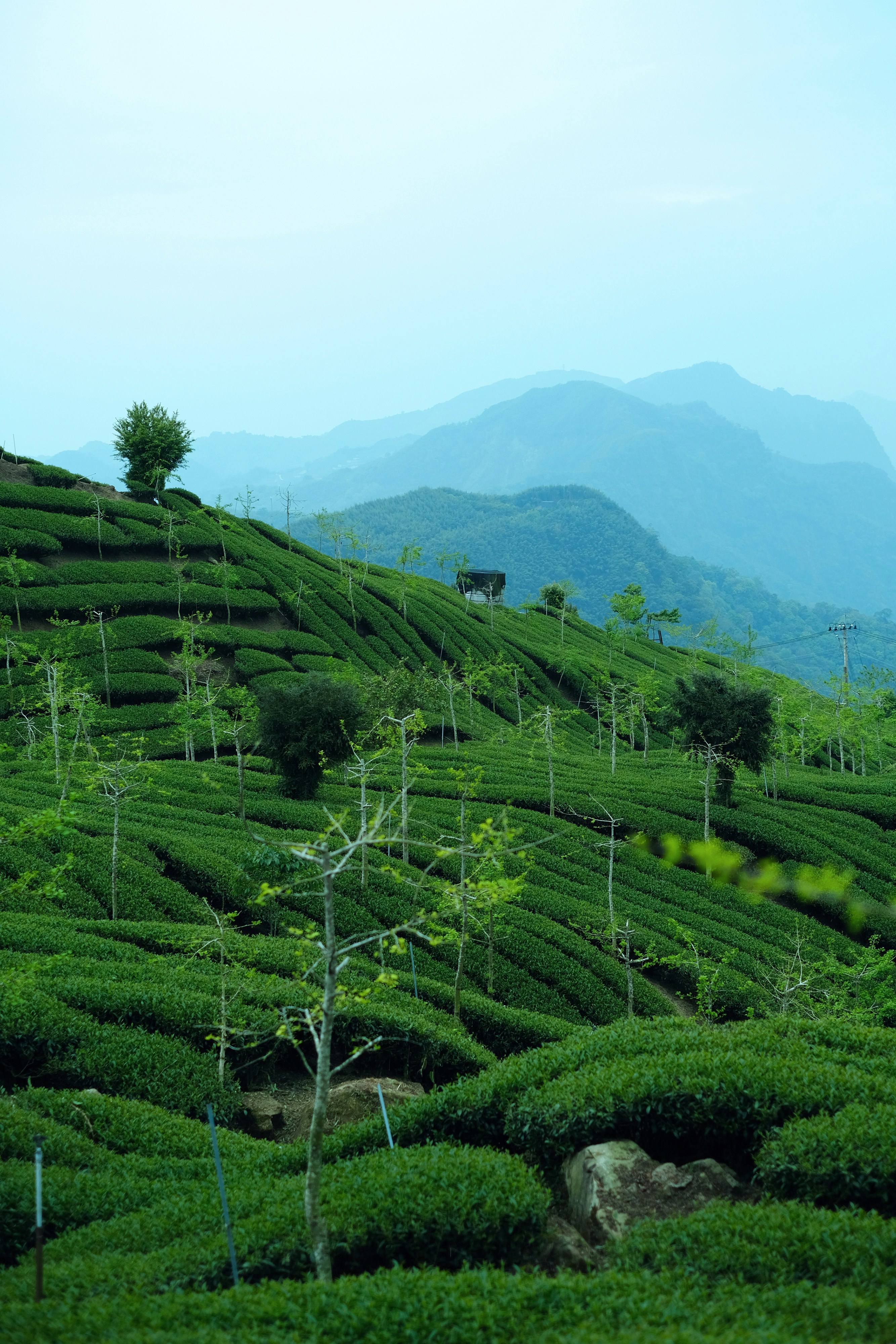 Karnataka Tour Packages — gallery photo 6