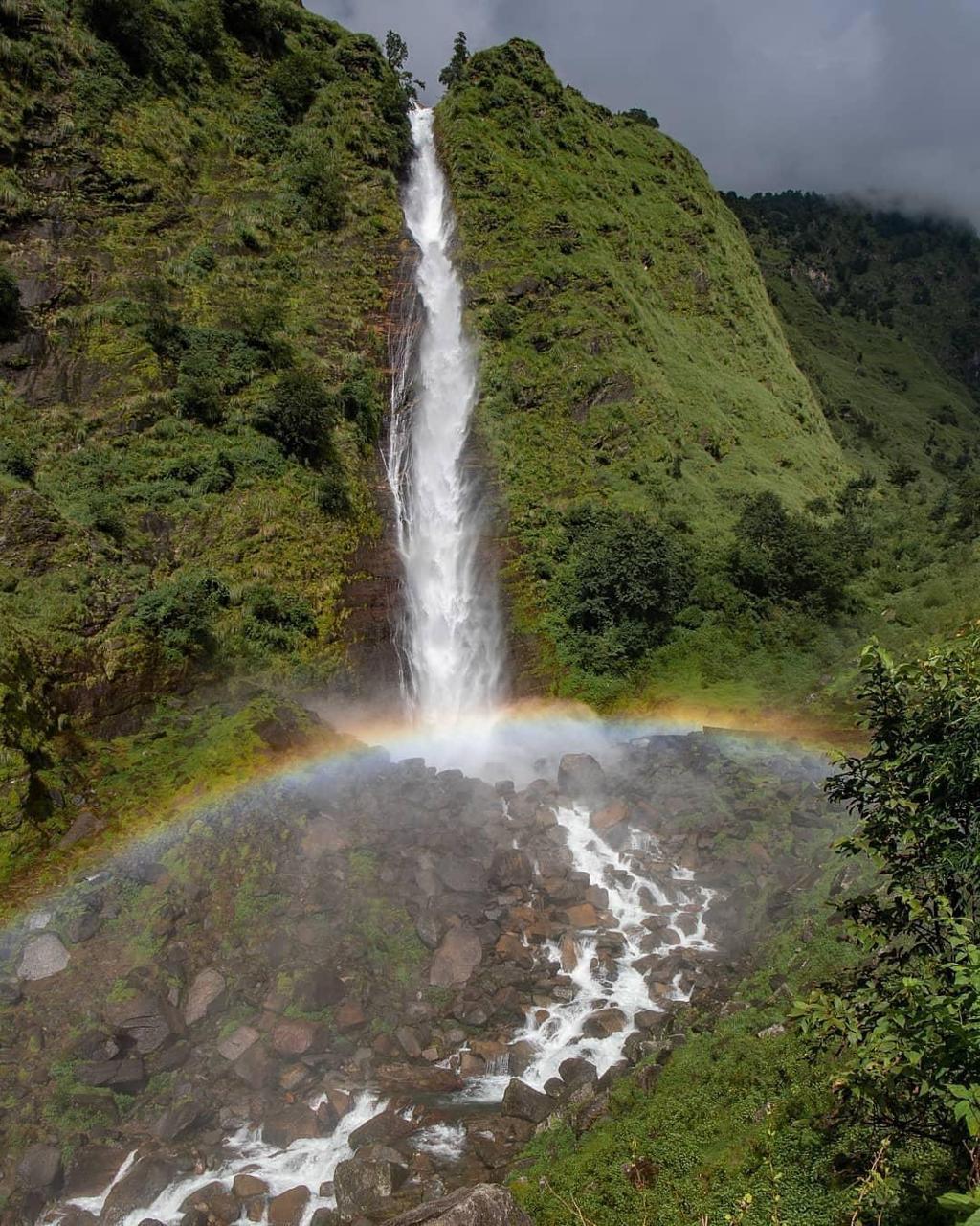 Wildlife Tour Packages in India — gallery photo 8