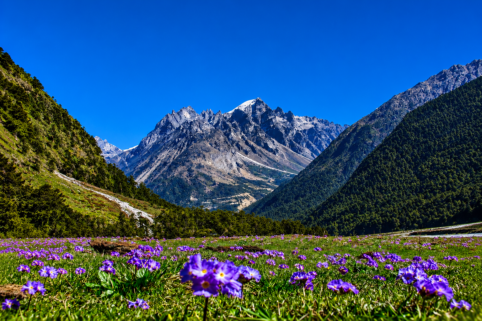 Sikkim Mountains & Valleys Tour Package