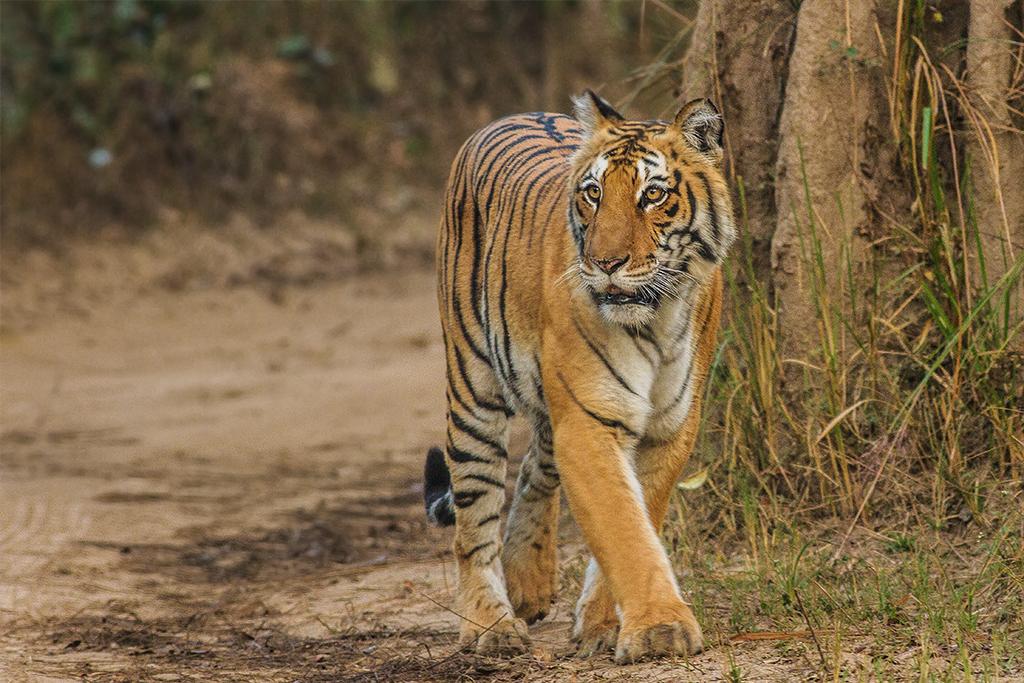 Heritage Tour Packages in India — gallery photo 6